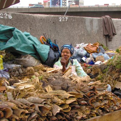 Seller at Muthi market in Durban South Africa. A top 10 tourist attraction in durban as featured on Lovedurban.co.za Durban tourist information and what's on in Durban website