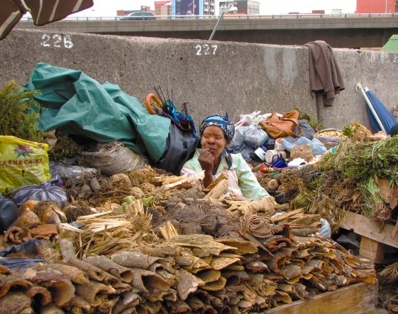 Seller at Muthi market in Durban South Africa. A top 10 tourist attraction in durban as featured on Lovedurban.co.za Durban tourist information and what's on in Durban website